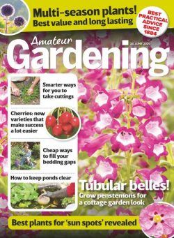 Amateur Gardening – 20 June 2020