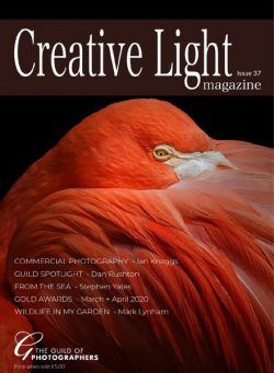 Creative Light – Issue 37 2020
