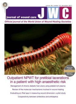 Journal of Wound Care – December 2017