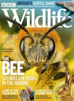 BBC Wildlife – July 2020