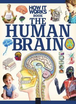 How It Works The Human Brain – 30 June 2020