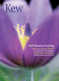 Kew Magazine – Spring 2011