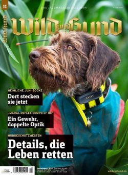 Wild und Hund – 4 Juni 2020