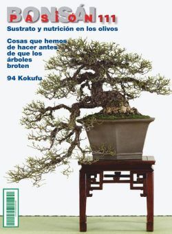 Bonsai Pasion – agosto 2020