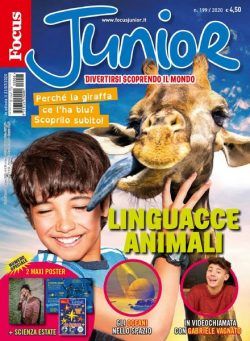 Focus Junior – agosto 2020