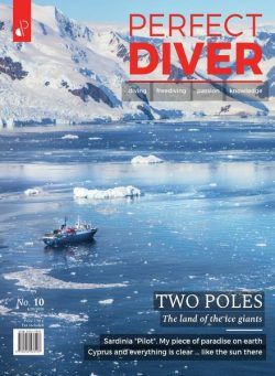 Perfect Diver – July-August 2020