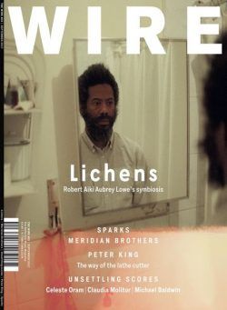 The Wire – September 2017 Issue 403