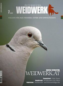 WEIDWERK – 01 Juli 2020