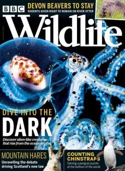 BBC Wildlife – September 2020