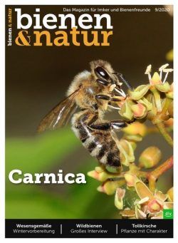 Bienen&Natur – August 2020