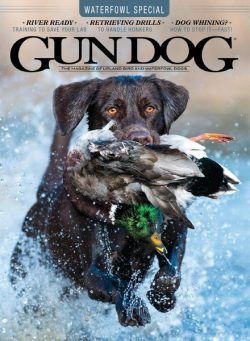 Gun Dog – October 2020