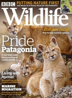 BBC Wildlife – October 2020