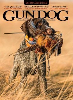 Gun Dog – November 2020