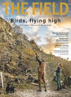 The Field – November 2020
