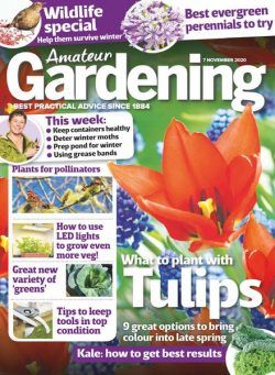 Amateur Gardening – 07 November 2020