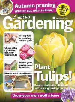 Amateur Gardening – 24 October 2020