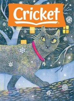 Cricket – November 2020