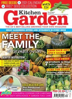 Kitchen Garden – December 2020