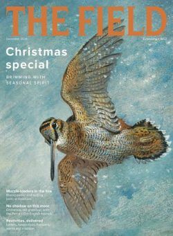 The Field – December 2020