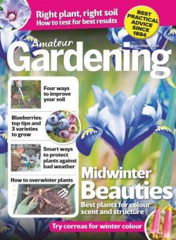Amateur Gardening – 05 December 2020