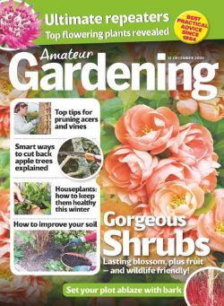 Amateur Gardening – 12 December 2020