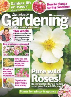 Amateur Gardening – 14 November 2020