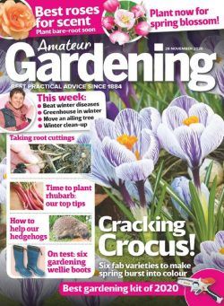 Amateur Gardening – 28 November 2020