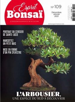 Esprit Bonsai – decembre 2020