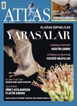 Atlas – 31 Aralik 2020