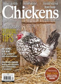 Chickens – January-February 2021