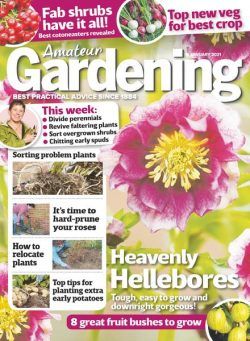 Amateur Gardening – 16 January 2021