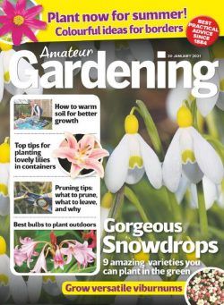 Amateur Gardening – 30 January 2021