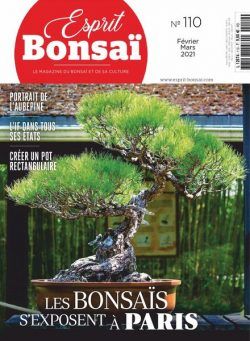 Esprit Bonsai – fevrier 2021