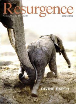 Resurgence & Ecologist – Resurgence, 221 – November – December 2003