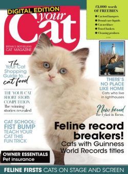 Your Cat – July 2020