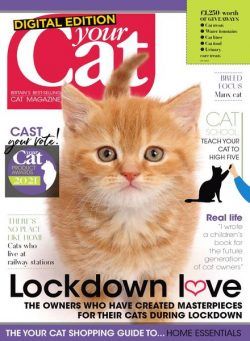 Your Cat – September 2020