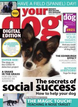 Your Dog – September 2020