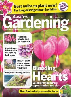 Amateur Gardening – 13 February 2021