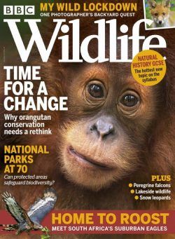 BBC Wildlife – April 2021