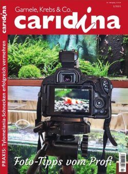 Caridina – Nr.1 2021