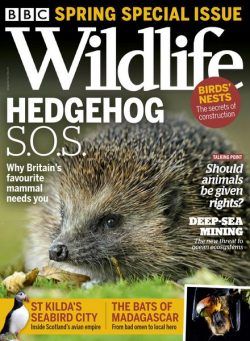 BBC Wildlife – Spring 2021