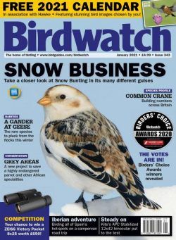 Birdwatch UK – Issue 343 – January 2021