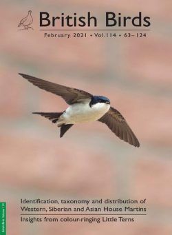 British Birds – February 2021