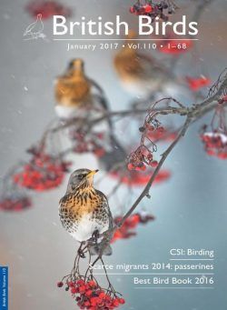 British Birds – January 2017