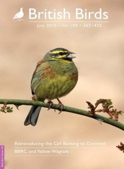 British Birds – July 2016