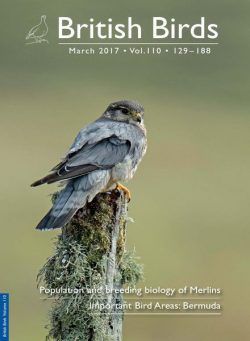 British Birds – March 2017