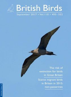 British Birds – September 2017