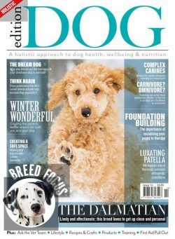 Edition Dog – Issue 14 – 29 November 2019