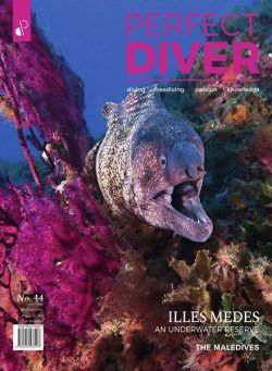 Perfect Diver – March-April 2021