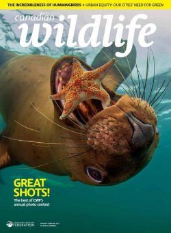 Canadian Wildlife – January February 2021